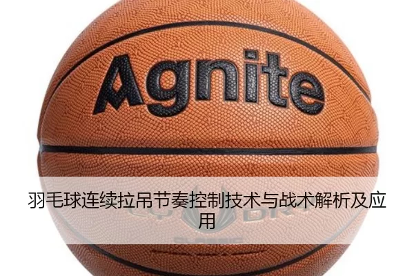 img_1780558040500_33_1_441.jpg