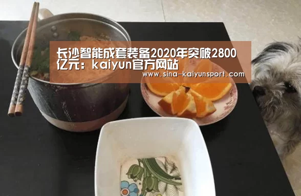 长沙智能成套装备2020年突破2800亿元:kaiyun官方网站(图2) 长沙智能成套装备2020年突破2800亿元:kaiyun官方网站(图2)